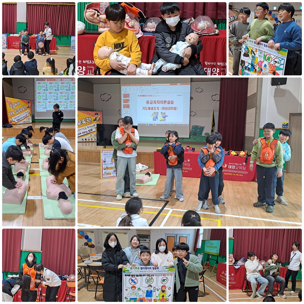 [�ູ ȭ����] �ǰ�ü�� ����2(��(���¿���),�๰������,����óġü�� ����