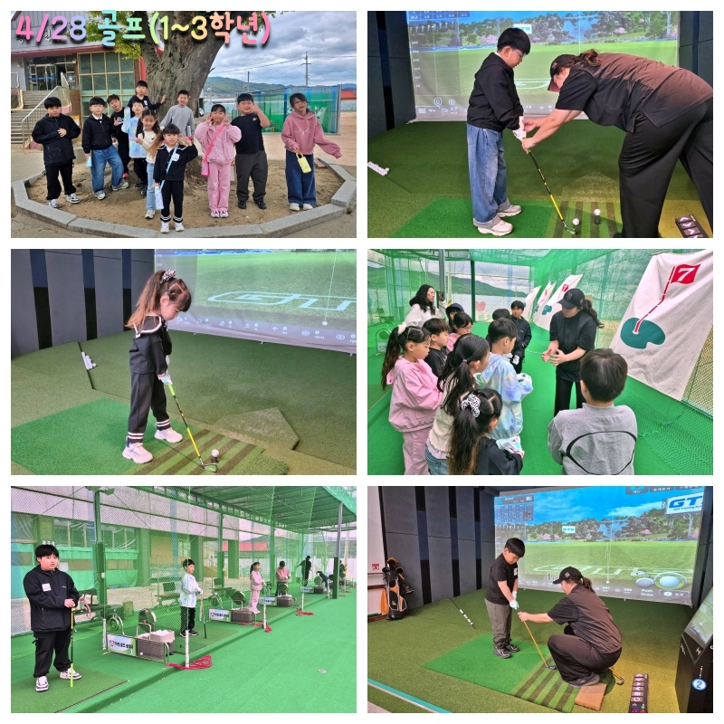 [�ູ ȭ����] ����ü��(1~3�г�) ����